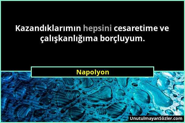 Napolyon - Kazandıklarımın hepsini cesaretime ve çalışkanlığıma borçluyum....