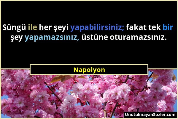 Napolyon - Süngü ile her şeyi yapabilirsiniz; fakat tek bir şey yapamazsınız, üstüne oturamazsınız....