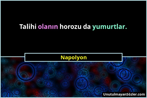 Napolyon - Talihi olanın horozu da yumurtlar....