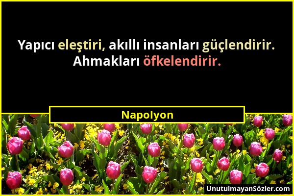 Napolyon - Yapıcı eleştiri, akıllı insanları güçlendirir. Ahmakları öfkelendirir....