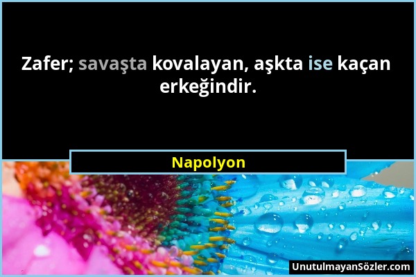 Napolyon - Zafer; savaşta kovalayan, aşkta ise kaçan erkeğindir....