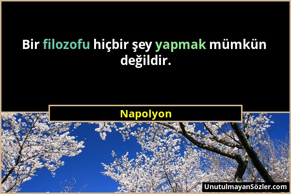 Napolyon - Bir filozofu hiçbir şey yapmak mümkün değildir....
