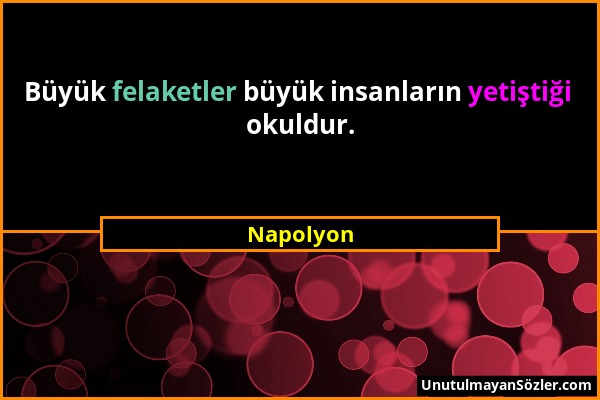 Napolyon - Büyük felaketler büyük insanların yetiştiği okuldur....