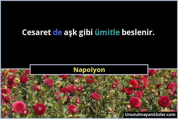 Napolyon - Cesaret de aşk gibi ümitle beslenir....