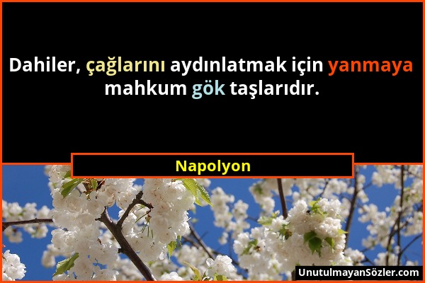 Napolyon - Dahiler, çağlarını aydınlatmak için yanmaya mahkum gök taşlarıdır....