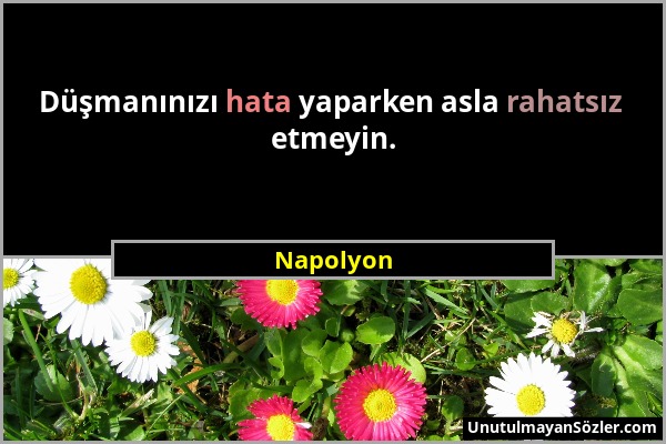 Napolyon - Düşmanınızı hata yaparken asla rahatsız etmeyin....