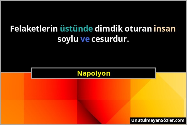Napolyon - Felaketlerin üstünde dimdik oturan insan soylu ve cesurdur....
