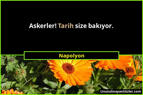 Napolyon - Askerler! Tarih size bakıyor....