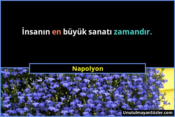 Napolyon - İnsanın en büyük sanatı zamandır....