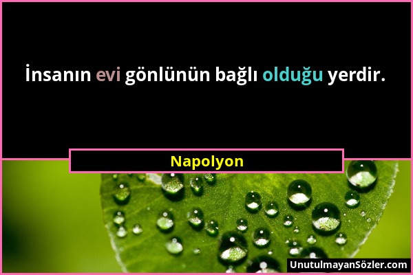 Napolyon - İnsanın evi gönlünün bağlı olduğu yerdir....