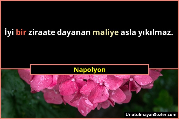 Napolyon - İyi bir ziraate dayanan maliye asla yıkılmaz....