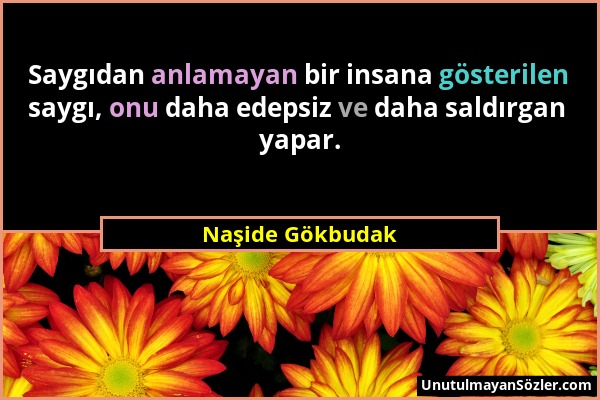 Naşide Gökbudak - Saygıdan anlamayan bir insana gösterilen saygı, onu daha edepsiz ve daha saldırgan yapar....