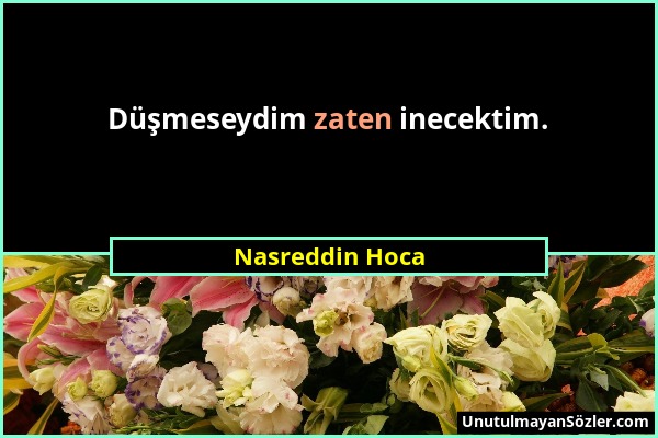 Nasreddin Hoca - Düşmeseydim zaten inecektim....