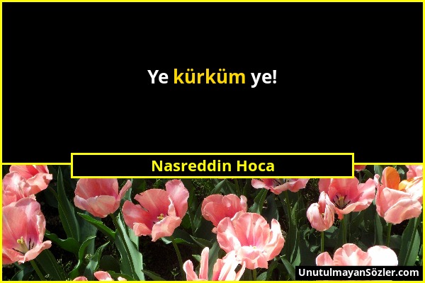 Nasreddin Hoca - Ye kürküm ye!...