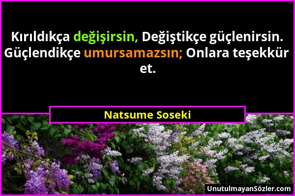 Natsume Soseki - Kırıldıkça değişirsin, Değiştikçe güçlenirsin. Güçlendikçe umursamazsın; Onlara teşekkür et....