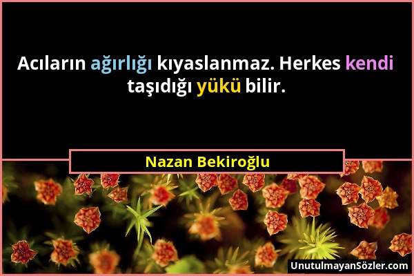 Nazan Bekiroğlu - Acıların ağırlığı kıyaslanmaz. Herkes kendi taşıdığı yükü bilir....