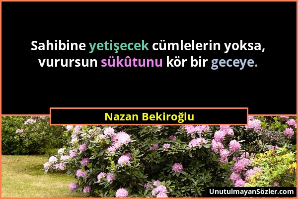 Nazan Bekiroğlu - Sahibine yetişecek cümlelerin yoksa, vurursun sükûtunu kör bir geceye....