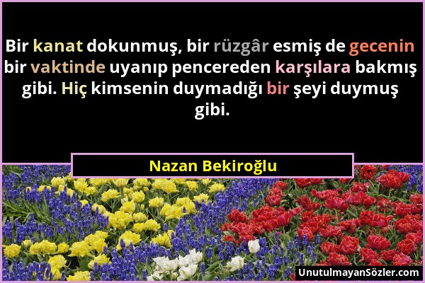 Nazan Bekiroğlu - Bir kanat dokunmuş, bir rüzgâr esmiş de gecenin bir vaktinde uyanıp pencereden karşılara bakmış gibi. Hiç kimsenin duymadığı bir şey...
