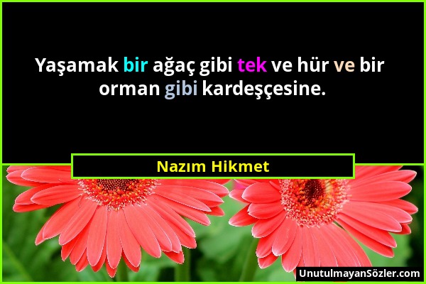 Nazım Hikmet - Yaşamak bir ağaç gibi tek ve hür ve bir orman gibi kardeşçesine....