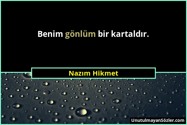 Nazım Hikmet - Benim gönlüm bir kartaldır....