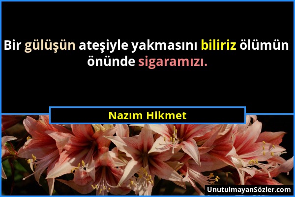 Nazım Hikmet - Bir gülüşün ateşiyle yakmasını biliriz ölümün önünde sigaramızı....