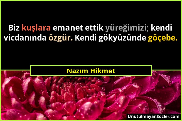 Nazım Hikmet - Biz kuşlara emanet ettik yüreğimizi; kendi vicdanında özgür. Kendi gökyüzünde göçebe....