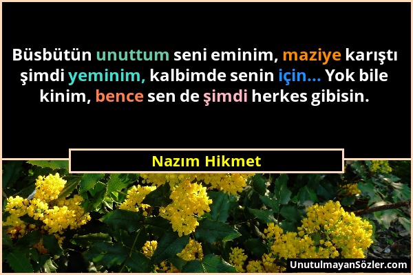 Nazım Hikmet - Büsbütün unuttum seni eminim, maziye karıştı şimdi yeminim, kalbimde senin için... Yok bile kinim, bence sen de şimdi herkes gibisin....