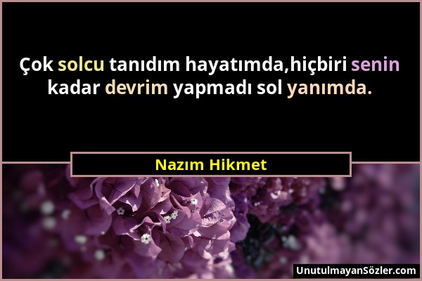 Nazım Hikmet - Çok solcu tanıdım hayatımda,hiçbiri senin kadar devrim yapmadı sol yanımda....