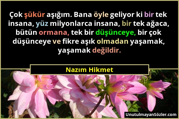 Nazım Hikmet - Çok şükür aşığım. Bana öyle geliyor ki bir tek insana, yüz milyonlarca insana, bir tek ağaca, bütün ormana, tek bir düşünceye, bir çok...