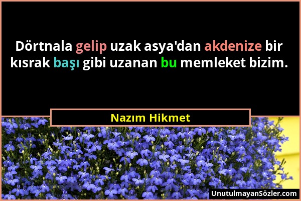 Nazım Hikmet - Dörtnala gelip uzak asya'dan akdenize bir kısrak başı gibi uzanan bu memleket bizim....