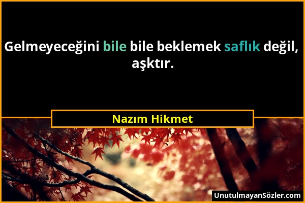Nazım Hikmet - Gelmeyeceğini bile bile beklemek saflık değil, aşktır....