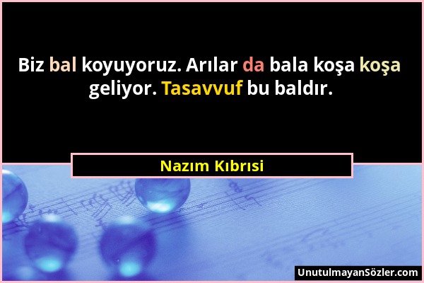 Nazım Kıbrısi - Biz bal koyuyoruz. Arılar da bala koşa koşa geliyor. Tasavvuf bu baldır....