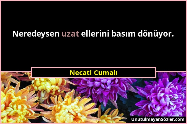 Necati Cumalı - Neredeysen uzat ellerini basım dönüyor....