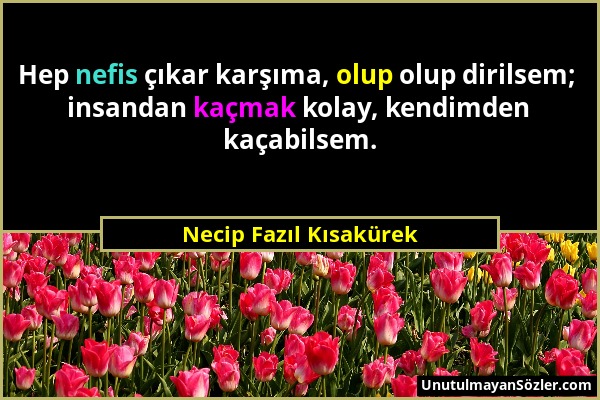 Necip Fazıl Kısakürek - Hep nefis çıkar karşıma, olup olup dirilsem; insandan kaçmak kolay, kendimden kaçabilsem....