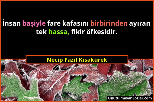 Necip Fazıl Kısakürek - İnsan başiyle fare kafasını birbirinden ayıran tek hassa, fikir öfkesidir....