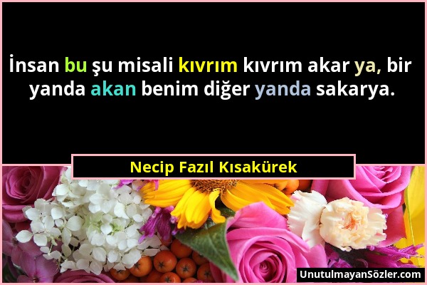 Necip Fazıl Kısakürek - İnsan bu şu misali kıvrım kıvrım akar ya, bir yanda akan benim diğer yanda sakarya....