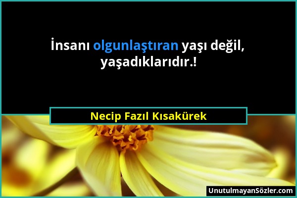 Necip Fazıl Kısakürek - İnsanı olgunlaştıran yaşı değil, yaşadıklarıdır.!...