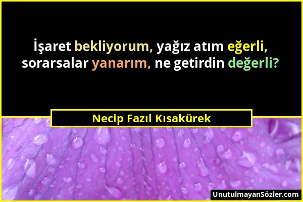 Necip Fazıl Kısakürek - İşaret bekliyorum, yağız atım eğerli, sorarsalar yanarım, ne getirdin değerli?...
