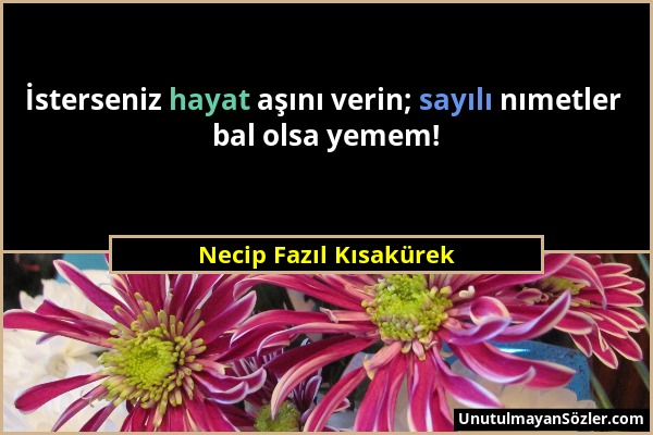 Necip Fazıl Kısakürek - İsterseniz hayat aşını verin; sayılı nımetler bal olsa yemem!...
