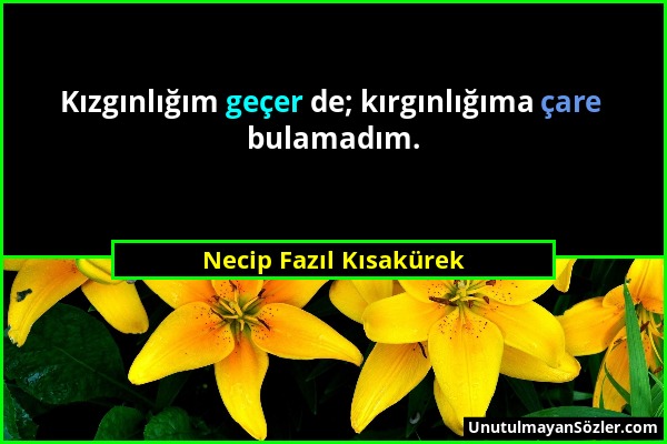 Necip Fazıl Kısakürek - Kızgınlığım geçer de; kırgınlığıma çare bulamadım....