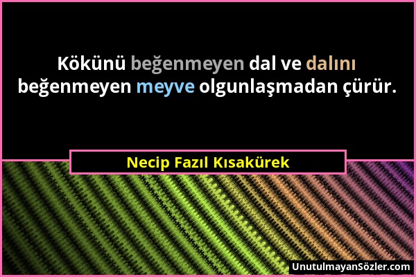 Necip Fazıl Kısakürek - Kökünü beğenmeyen dal ve dalını beğenmeyen meyve olgunlaşmadan çürür....
