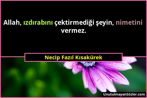 Necip Fazıl Kısakürek - Allah, ızdırabını çektirmediği şeyin, nimetini vermez....