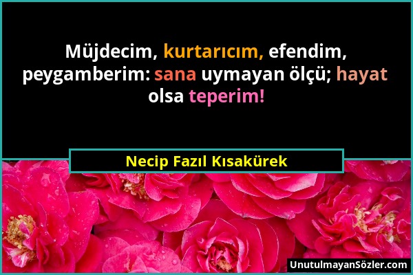 Necip Fazıl Kısakürek - Müjdecim, kurtarıcım, efendim, peygamberim: sana uymayan ölçü; hayat olsa teperim!...