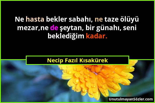 Necip Fazıl Kısakürek - Ne hasta bekler sabahı, ne taze ölüyü mezar,ne de şeytan, bir günahı, seni beklediğim kadar....