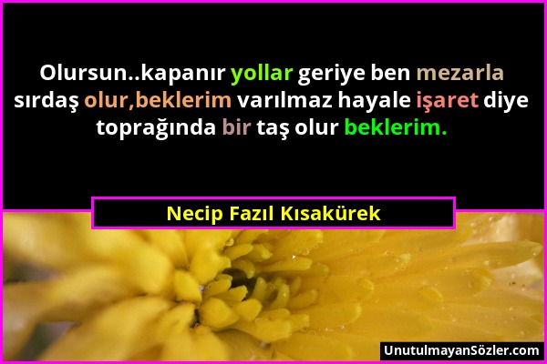 Necip Fazıl Kısakürek - Olursun..kapanır yollar geriye ben mezarla sırdaş olur,beklerim varılmaz hayale işaret diye toprağında bir taş olur beklerim....