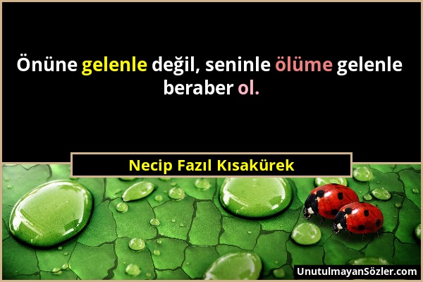 Necip Fazıl Kısakürek - Önüne gelenle değil, seninle ölüme gelenle beraber ol....