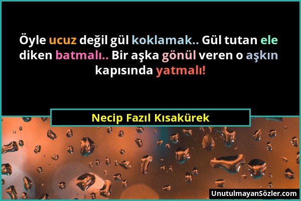 Necip Fazıl Kısakürek - Öyle ucuz değil gül koklamak.. Gül tutan ele diken batmalı.. Bir aşka gönül veren o aşkın kapısında yatmalı!...