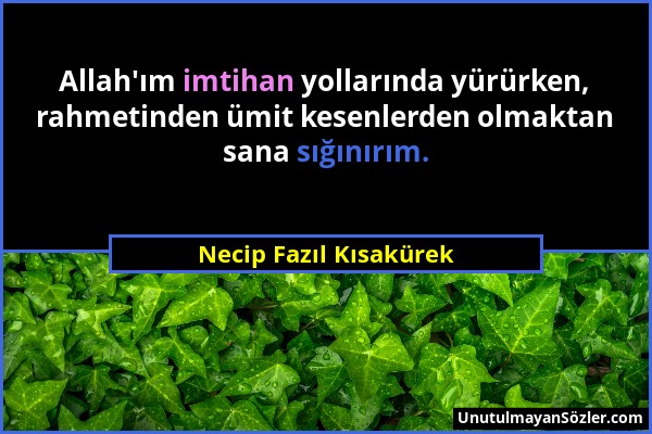 Necip Fazıl Kısakürek - Allah'ım imtihan yollarında yürürken, rahmetinden ümit kesenlerden olmaktan sana sığınırım....