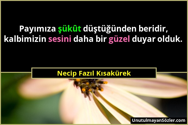 Necip Fazıl Kısakürek - Payımıza şükût düştüğünden beridir, kalbimizin sesini daha bir güzel duyar olduk....