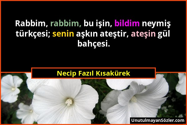 Necip Fazıl Kısakürek - Rabbim, rabbim, bu işin, bildim neymiş türkçesi; senin aşkın ateştir, ateşin gül bahçesi....